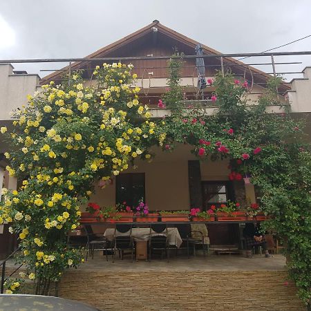 ホテル Casa Delia Călimăneşti エクステリア 写真