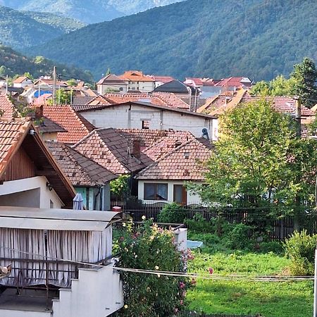 ホテル Casa Delia Călimăneşti エクステリア 写真