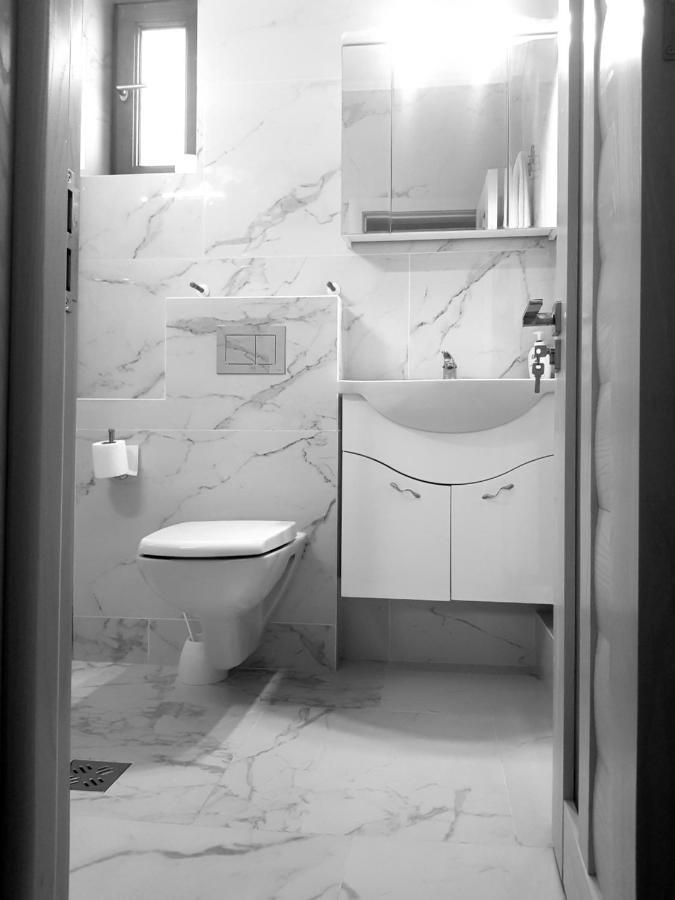 ホテル Casa Delia Călimăneşti エクステリア 写真