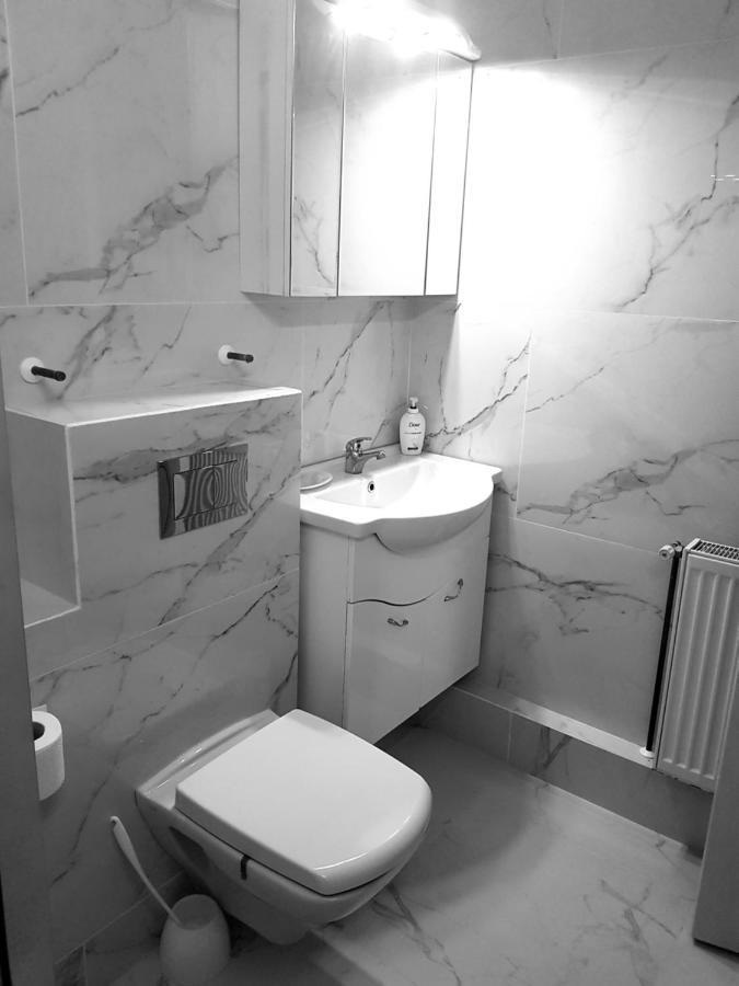 ホテル Casa Delia Călimăneşti エクステリア 写真