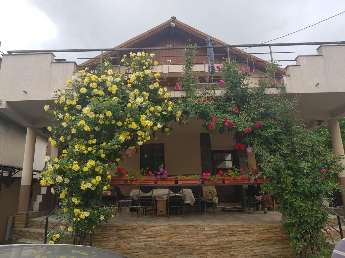 ホテル Casa Delia Călimăneşti エクステリア 写真
