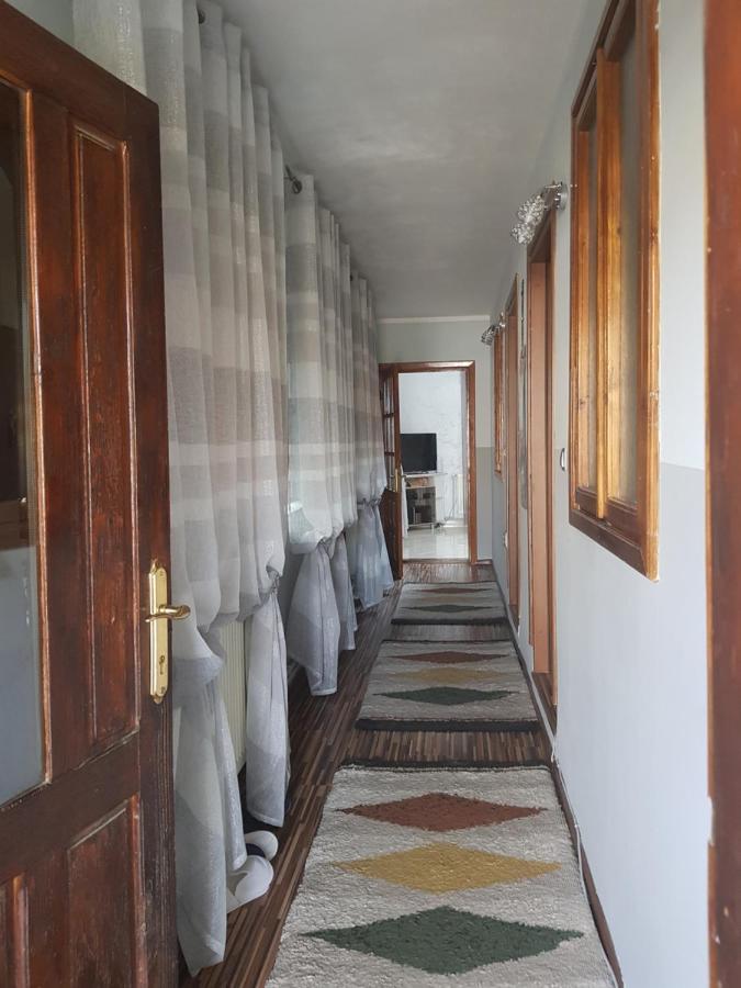 ホテル Casa Delia Călimăneşti エクステリア 写真