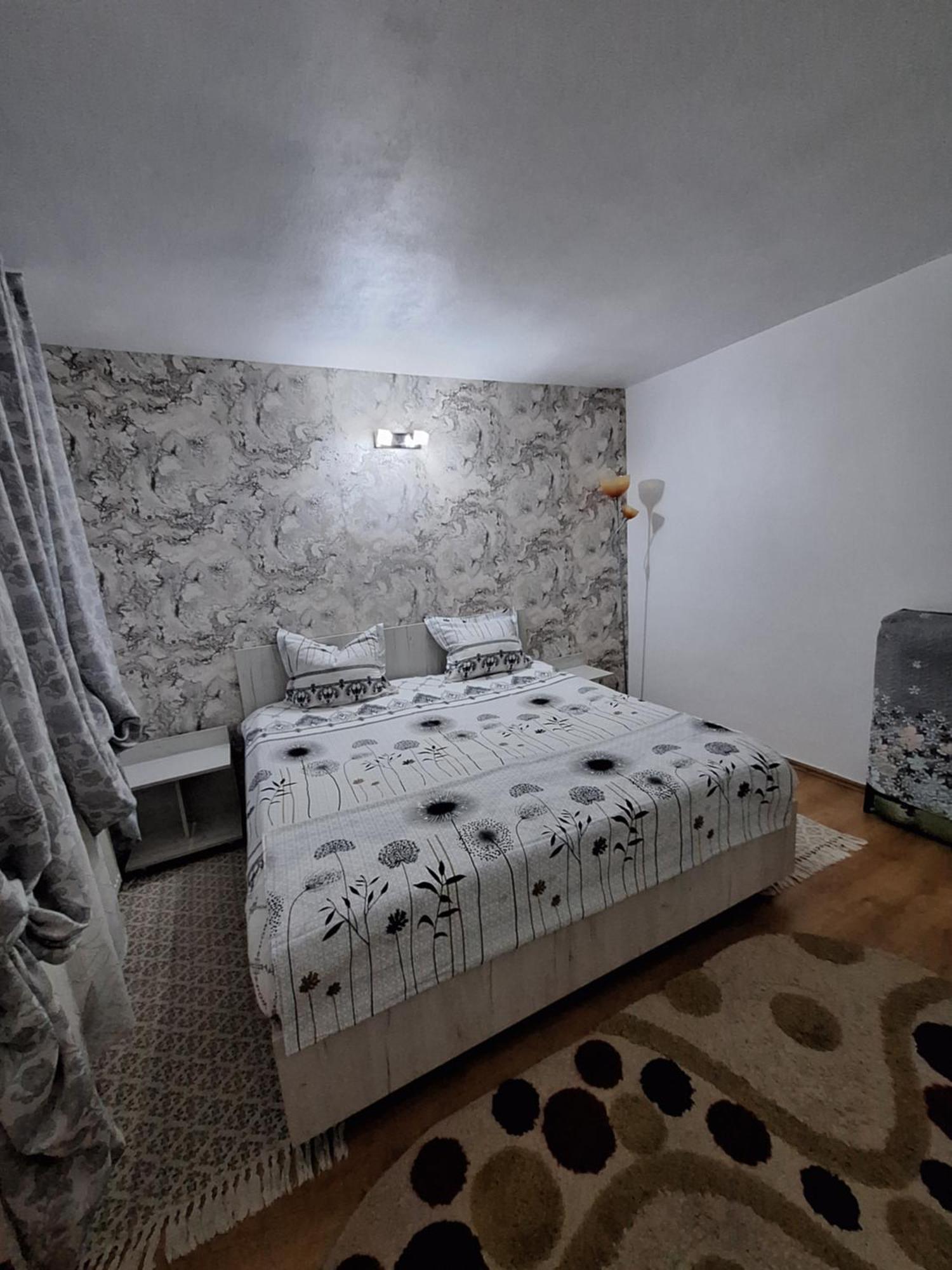 ホテル Casa Delia Călimăneşti エクステリア 写真