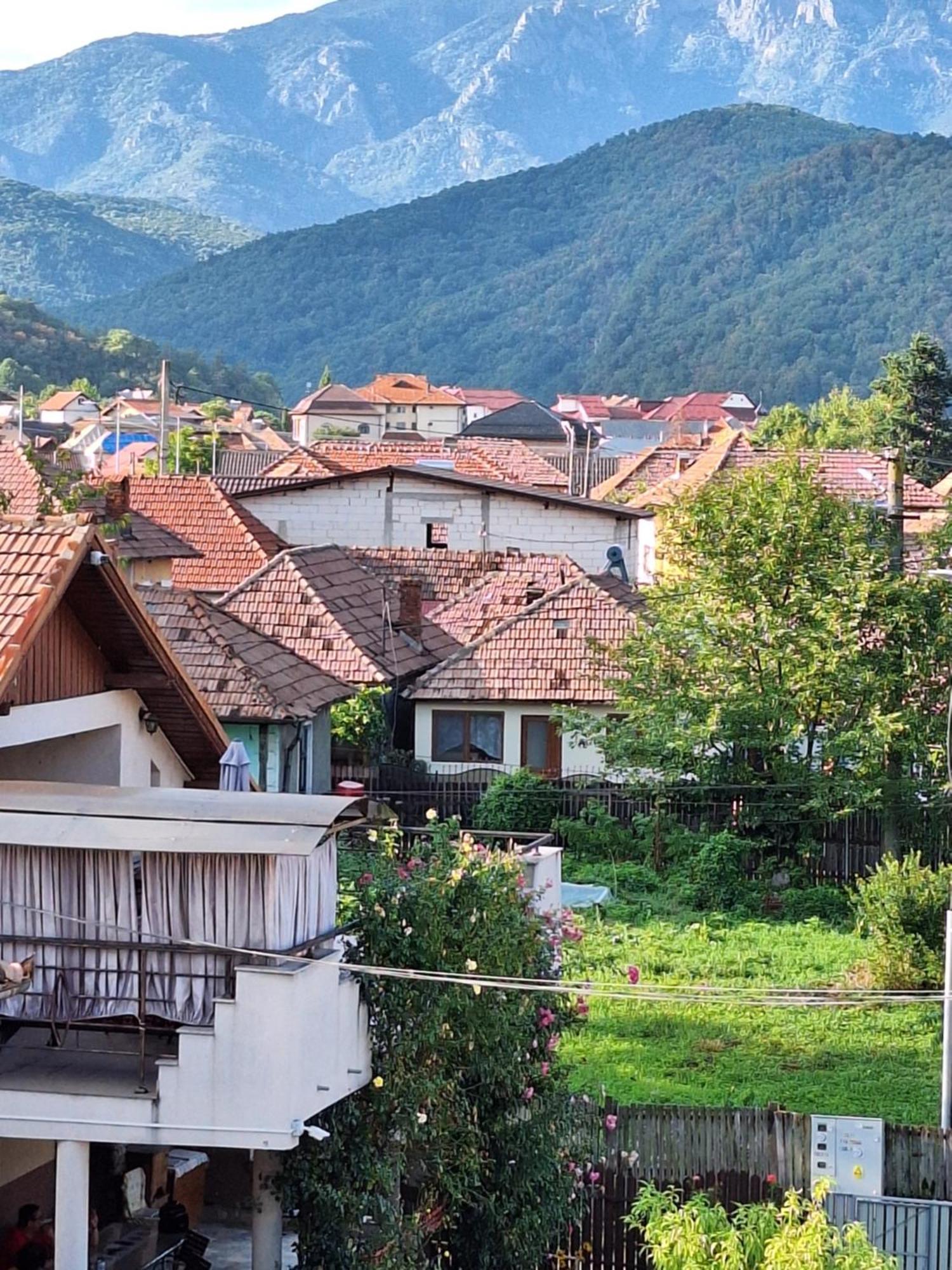 ホテル Casa Delia Călimăneşti エクステリア 写真