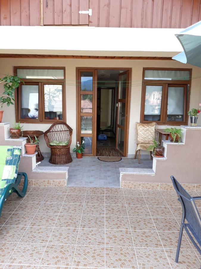 ホテル Casa Delia Călimăneşti エクステリア 写真