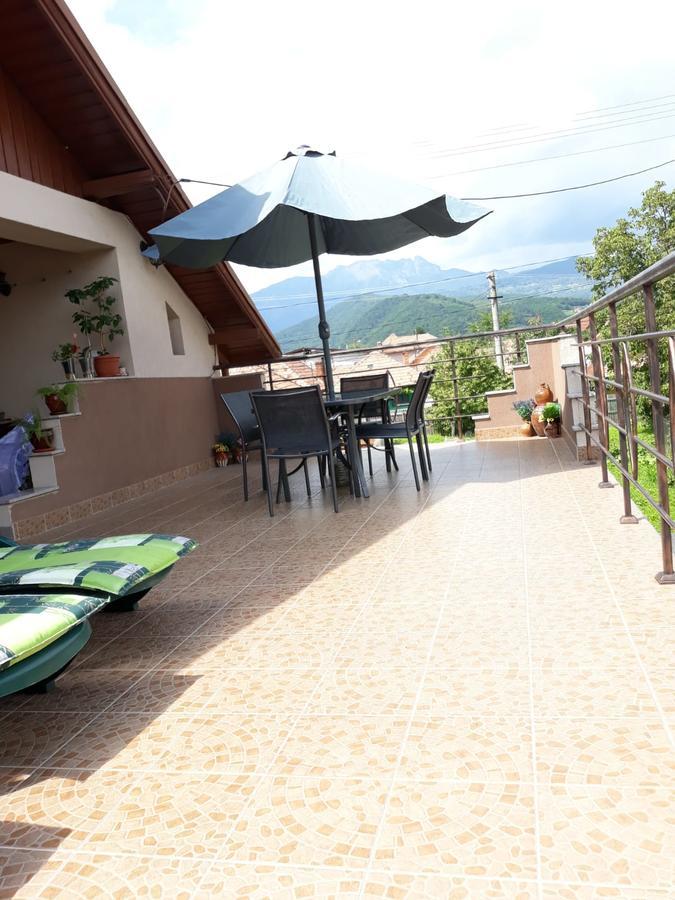 ホテル Casa Delia Călimăneşti エクステリア 写真