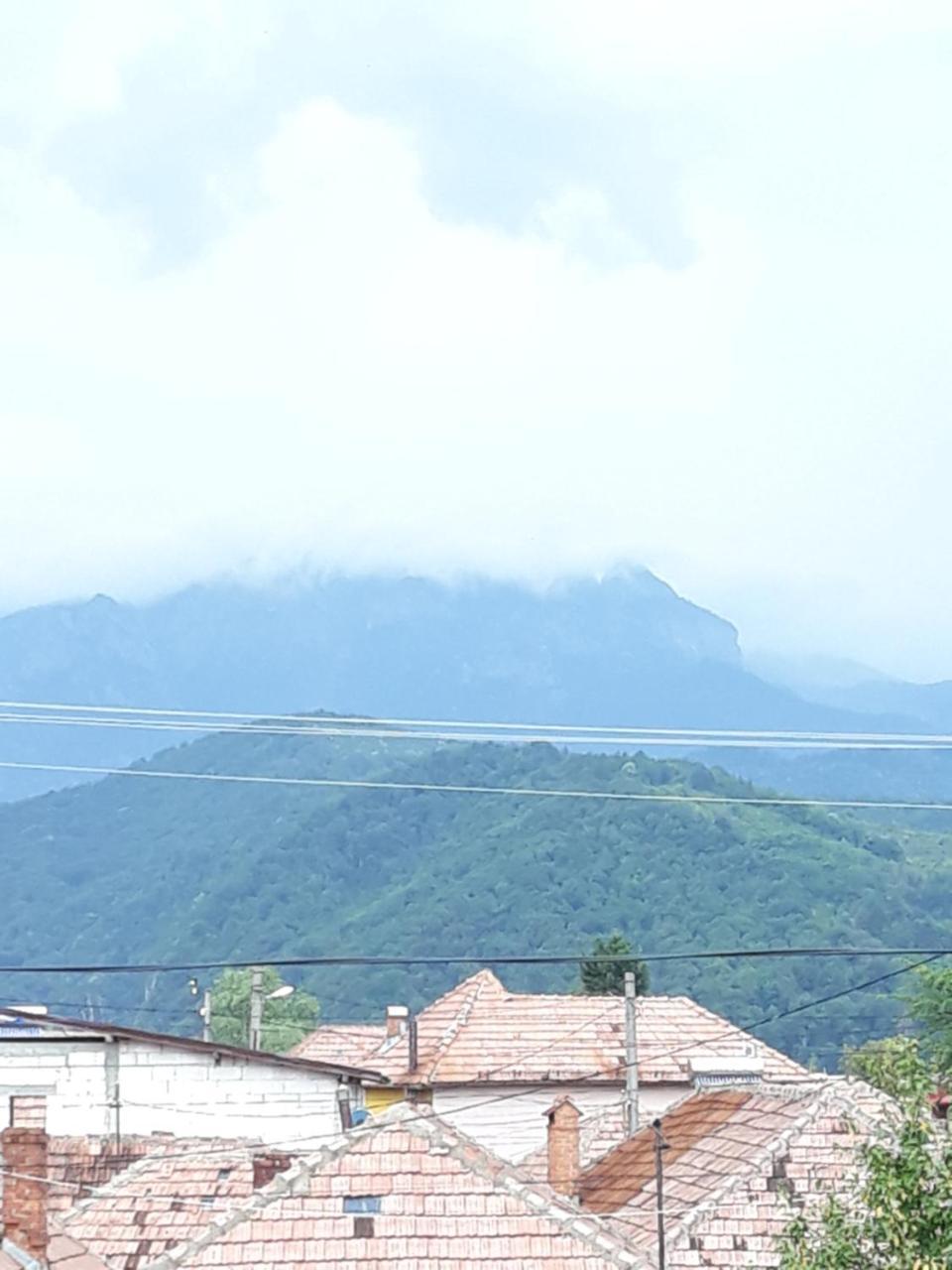 ホテル Casa Delia Călimăneşti エクステリア 写真