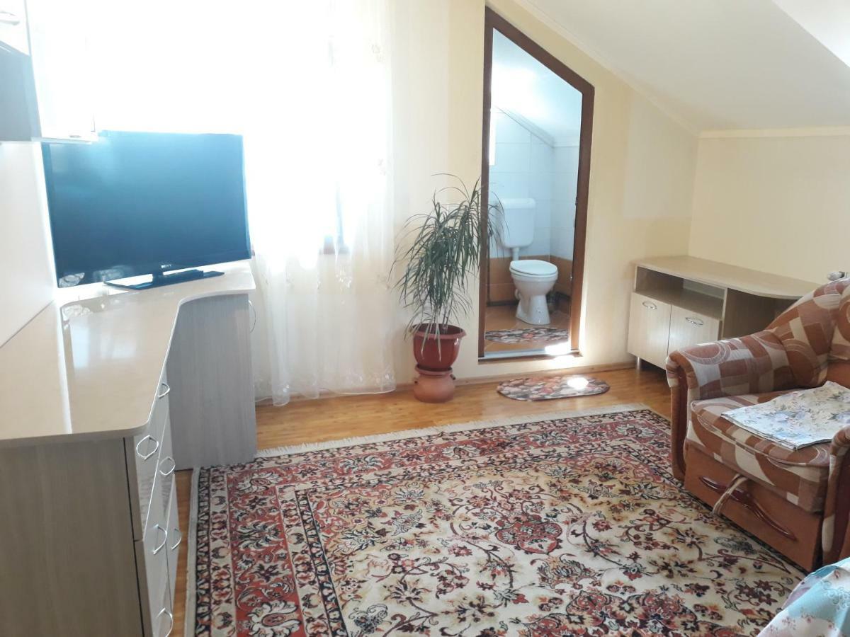 ホテル Casa Delia Călimăneşti エクステリア 写真