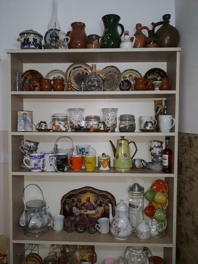 ホテル Casa Delia Călimăneşti エクステリア 写真