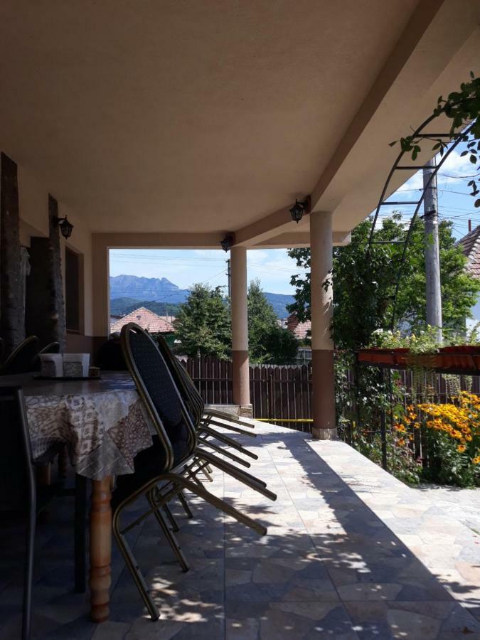 ホテル Casa Delia Călimăneşti エクステリア 写真